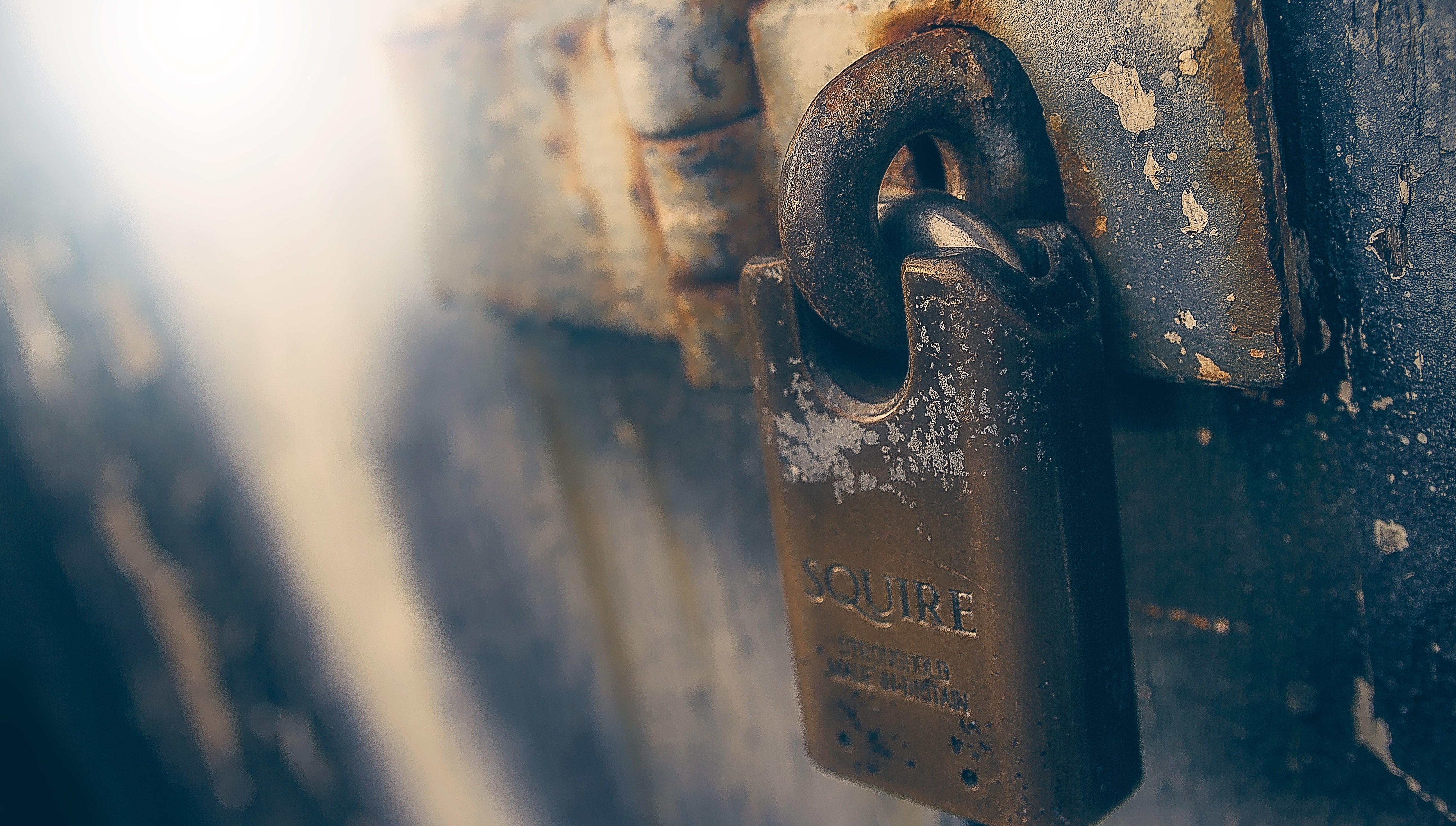 5 Tips for Tax Professionals to Protect Their Information