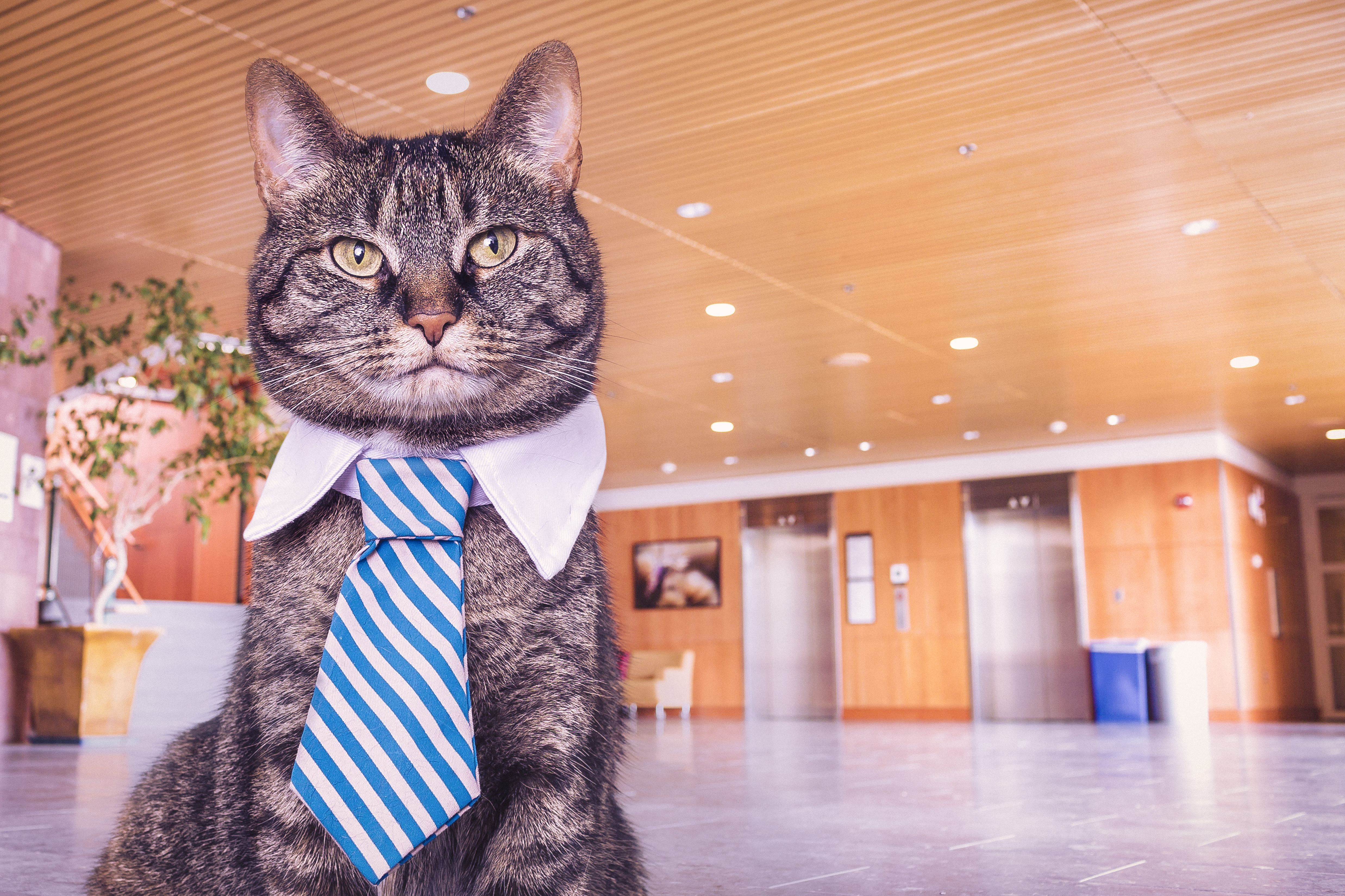 How to Determine If Your Investment Advisor is Properly Licensed