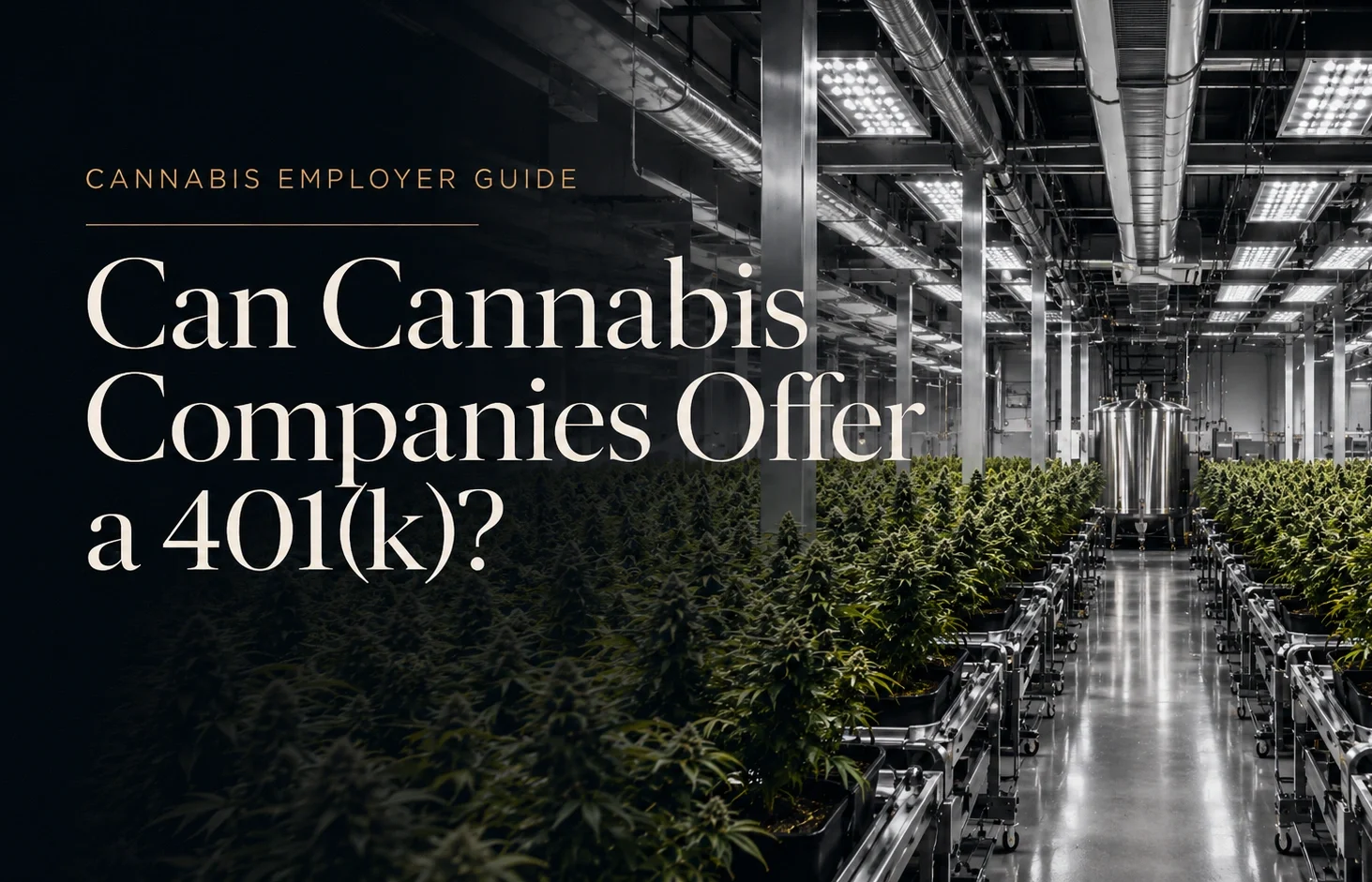 Can Cannabis Companies Offer a 401(k)? A Complete Employer Guide