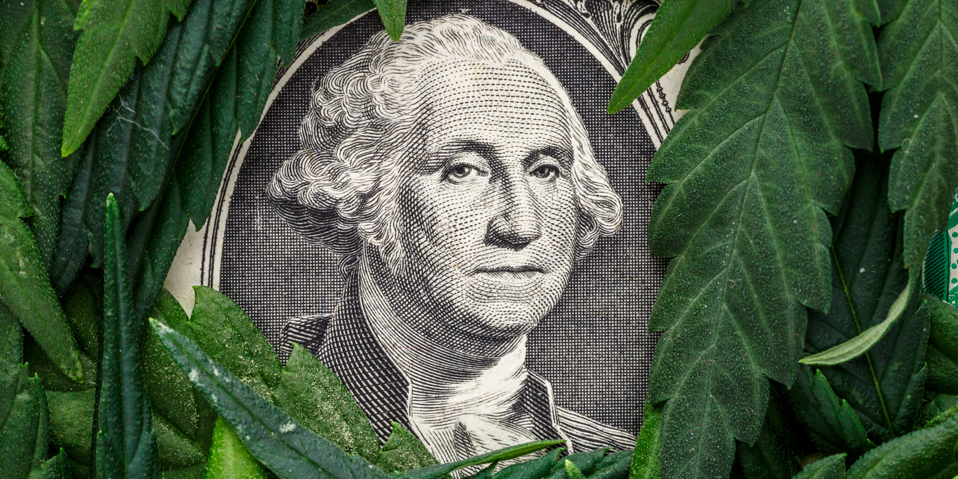 What Cannabis Rescheduling Should (but likely won’t) Mean for Retirement Savings Plans