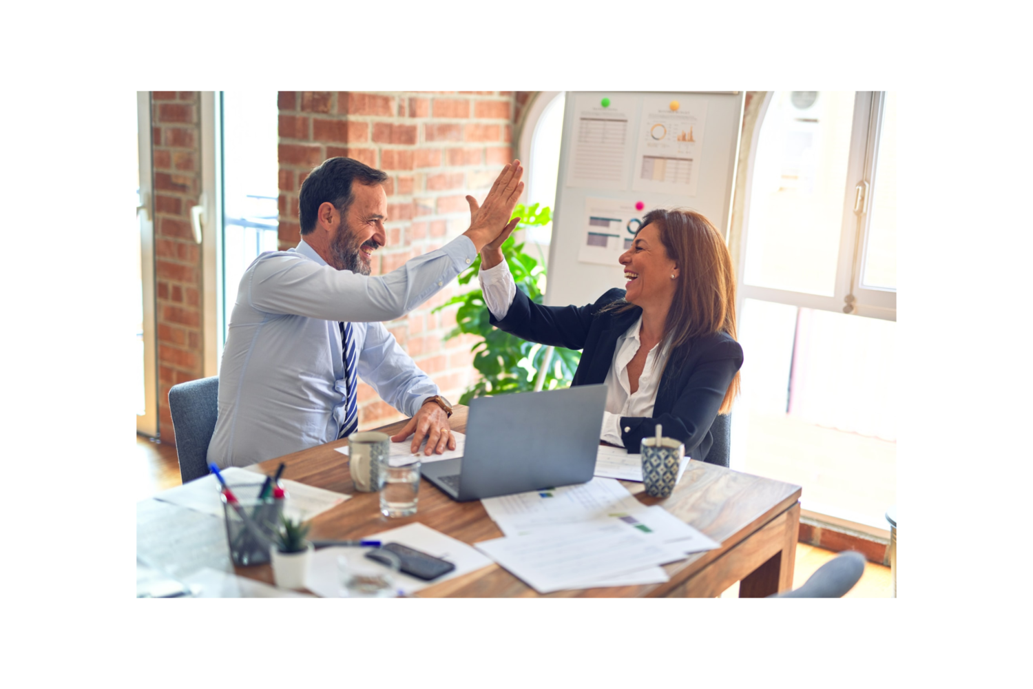 Are ROBS Plans Cost-effective?