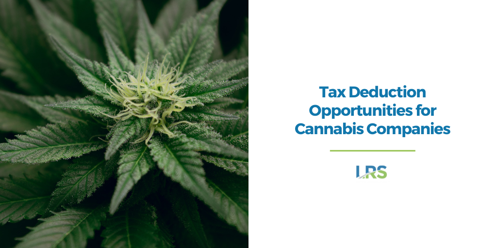Tax Deductions for Cannabis Companies